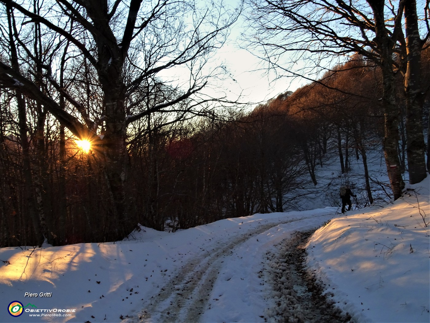 92 La stella luminosa del sole  brilla nelle ombre del bosco.JPG